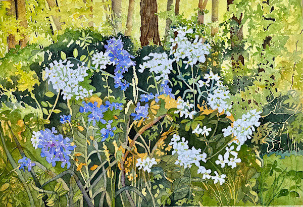 Wildflowers by Hana Aviv, Image 1.