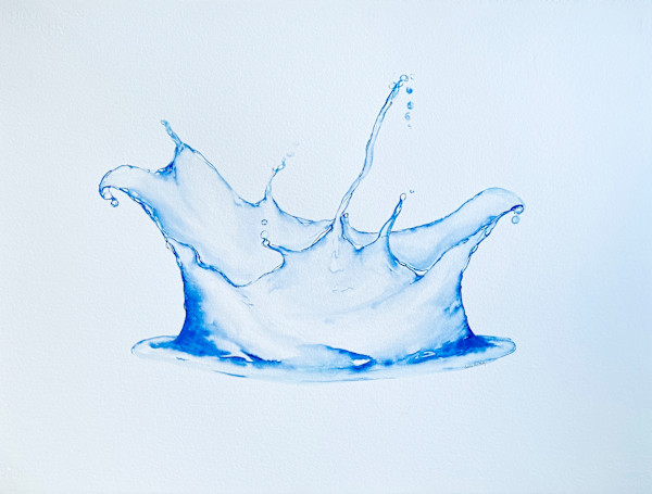 Silly Splash - a splash with a sense of humor by Tracy McCarty