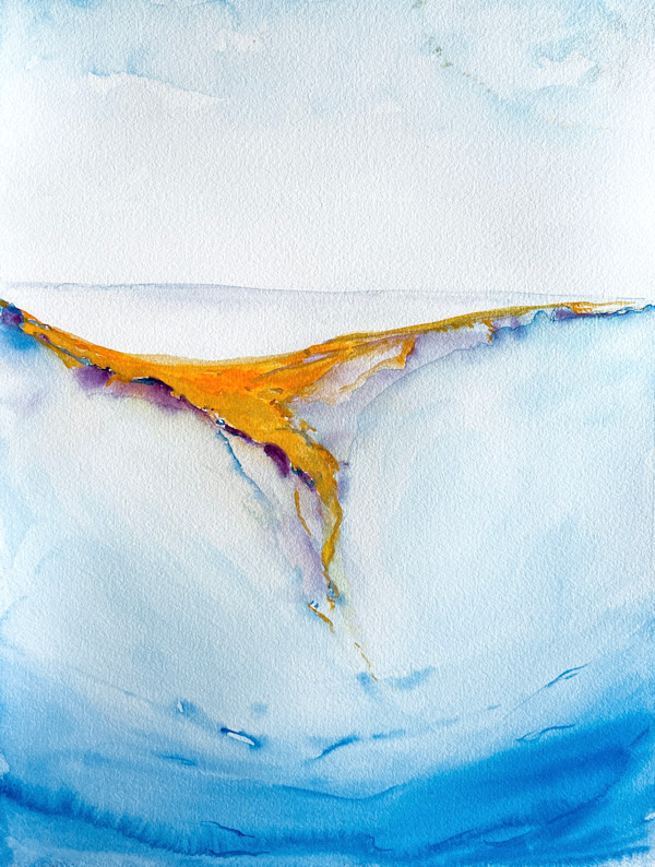 Little Anegada Sunset 4 by Tracy McCarty