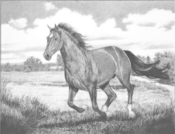 Running Free by Sammy Watson