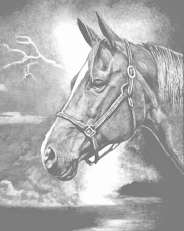 Bolt by Sammy Watson