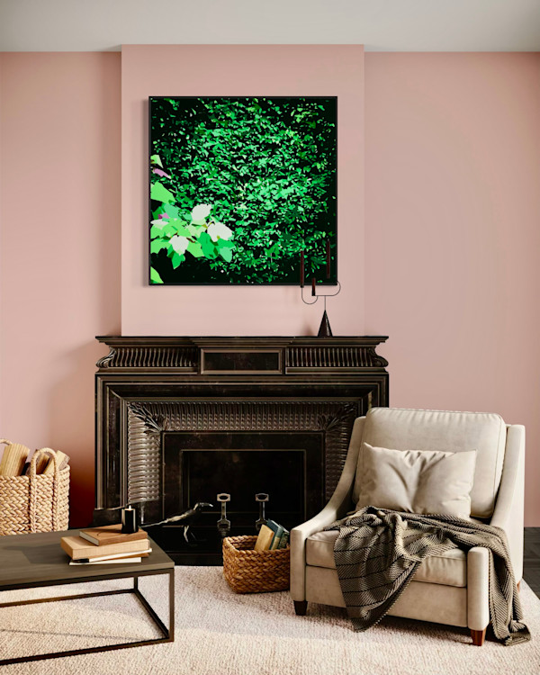 Climbing Fig and Hydrangea by Marni Rothman