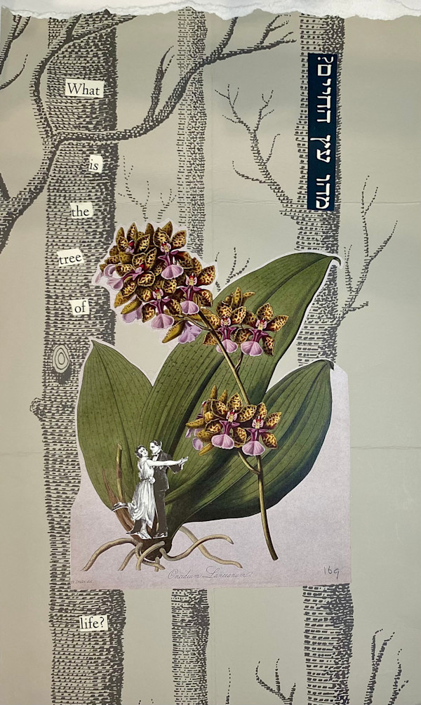 What Is The Tree of Life? [grey] by Marni Rothman