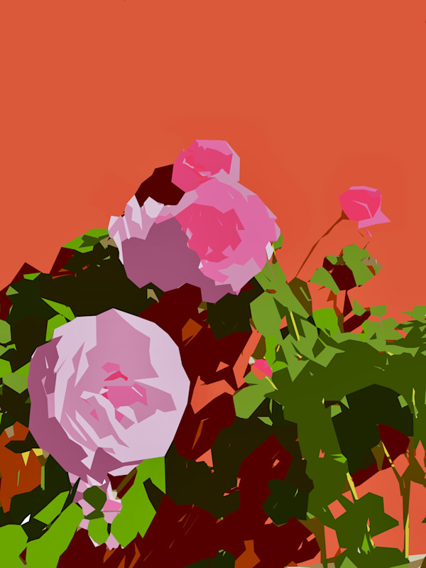 Four Garden Roses in the Sun by Marni Rothman