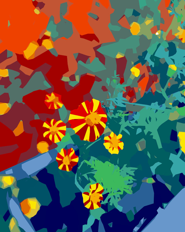 Many Harlequin Marigolds by Marni Rothman
