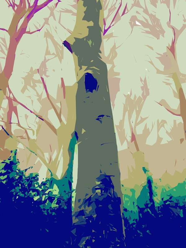 One Tree in County Clare by Marni Rothman