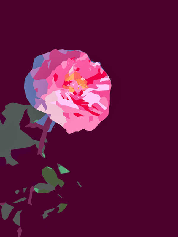 Rose on Purple by Marni Rothman