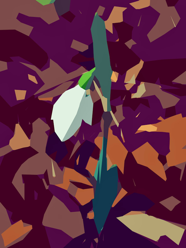 Snowdrop Among Leaves in Ireland by Marni Rothman
