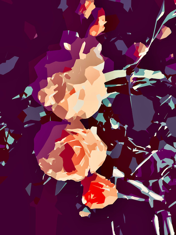 Three Pergola Roses at Night by Marni Rothman