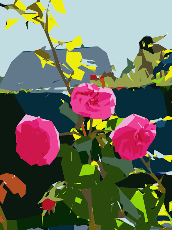 Three Roses in the Sun, and the Neighbor's Shed by Marni Rothman