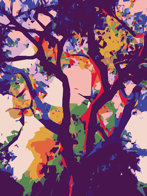 Tree at Sunset, at Maura's by Marni Rothman