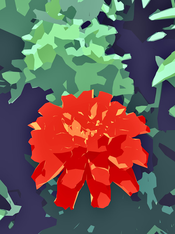 Vermillion Marigold Closeup by Marni Rothman