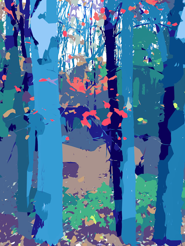 Woods by B'nai Or by Marni Rothman
