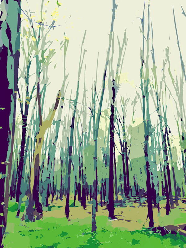 Woods of Foote Park by Marni Rothman