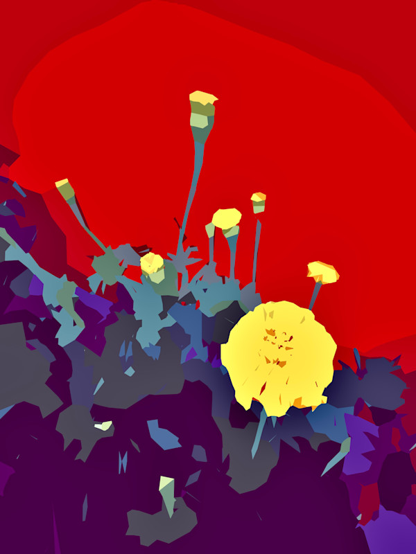 Yellow Pompom Marigolds by Marni Rothman