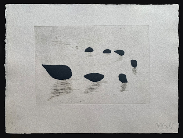 Sin Título by Miquel Barceló, Image 11.