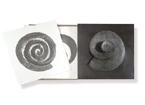 Espiral. Naturaleza, Simbología y Cosmos by Martín Chirino