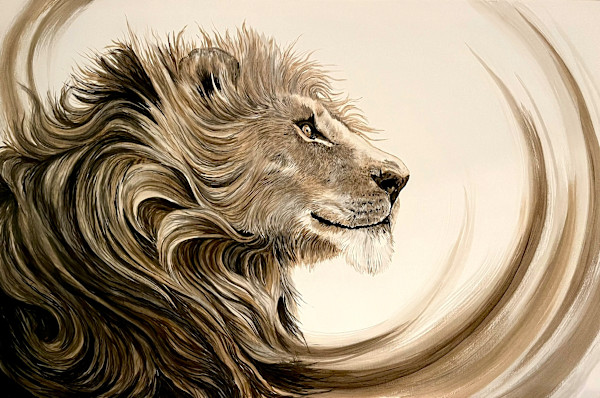 Like the Rising Sun by Bethany Stewart