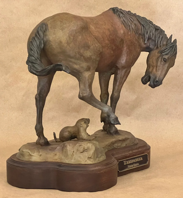 Trespasser by Steve Dunn