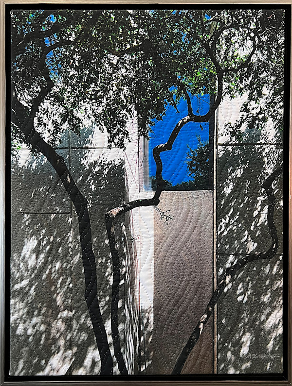 Dallas Downtown 6- Baylor by Marilyn Henrion, Image 5.