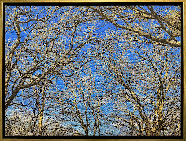 Winter Sky Texas by Marilyn Henrion