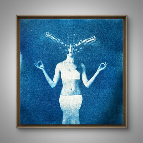 Divine Feminine I by Laura Gatto