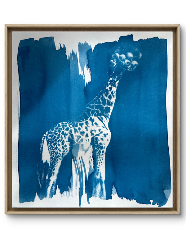 Neccesity by Laura Gatto