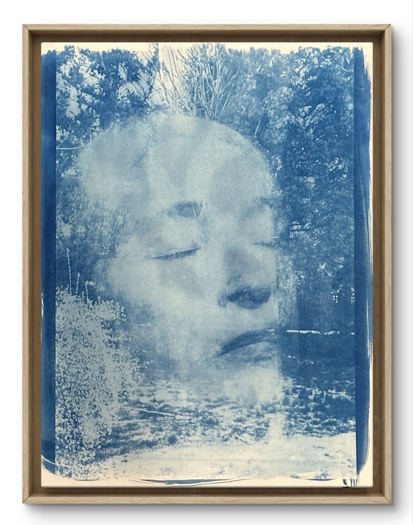 Quiet Meditation Reflection by Laura Gatto