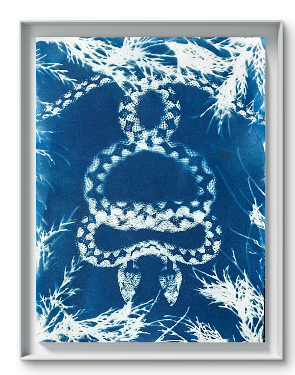 Transformation by Laura Gatto