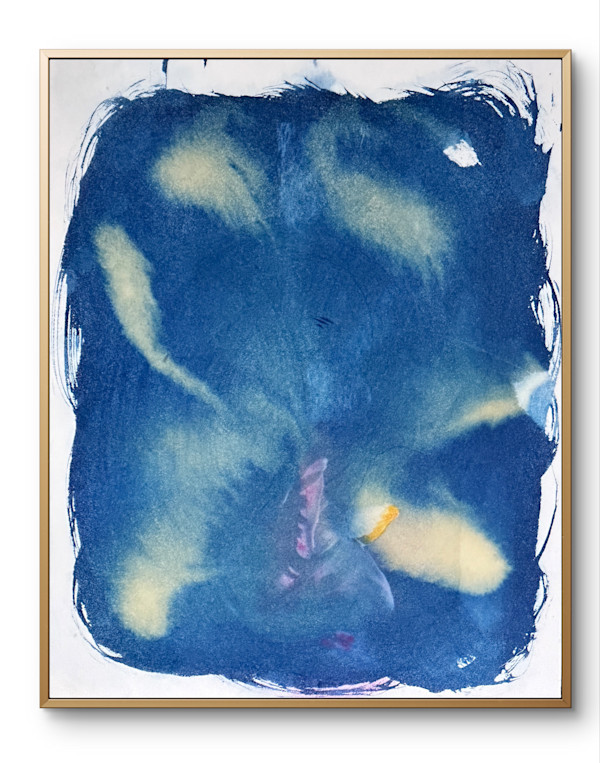 Tulip Abstraction by Laura Gatto