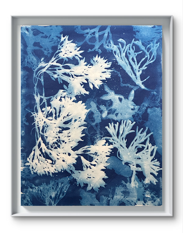 UnderSea by Laura Gatto