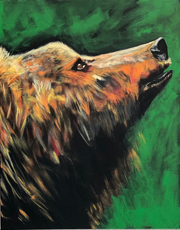 Bear by Susan Martinez
