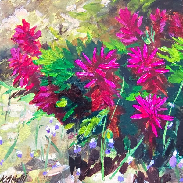 Wildflowers at Cathedral Hills by Kristen O'Neill