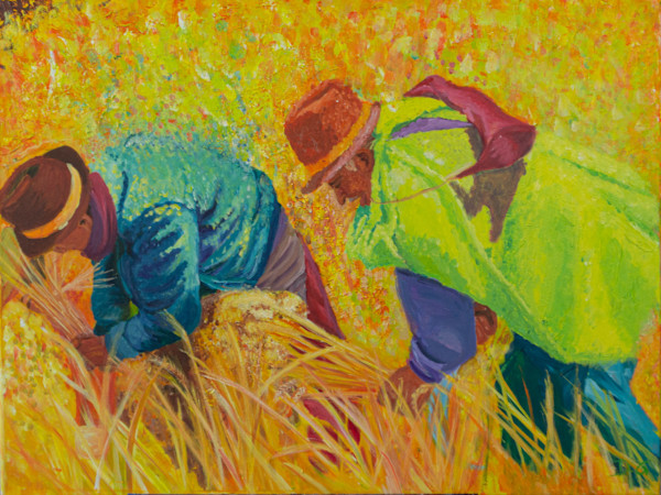 Cosechando / Harvesting. by Daniela Godoy, Image 7.