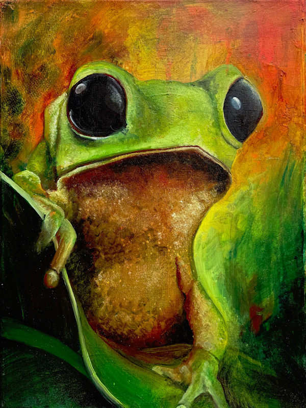 A frog called François by Samantha Biddle