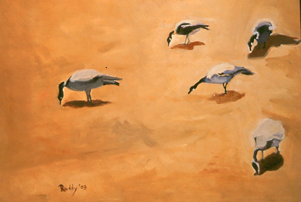 After Harvest by Sally Ruddy