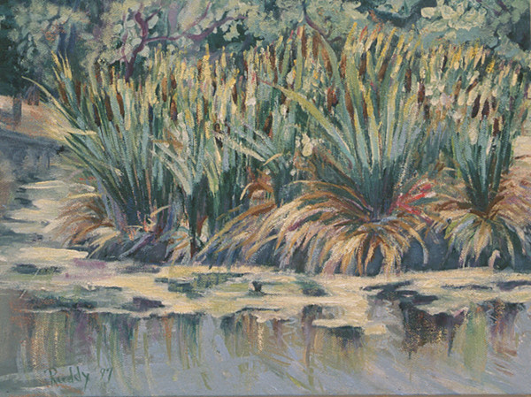 Cattails by Sally Ruddy