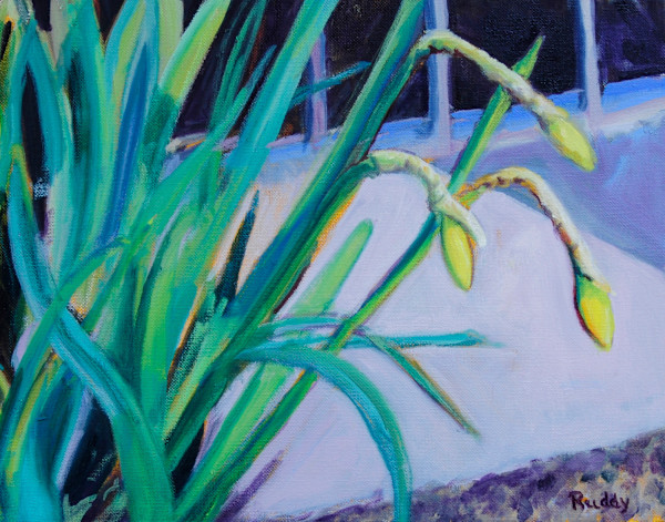 Daffodils by Sally Ruddy, Image 1.