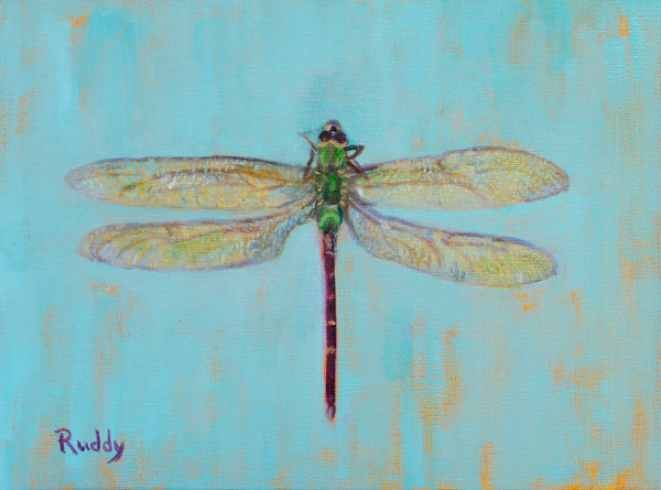 Dragonfly by Sally Ruddy, Image 1.