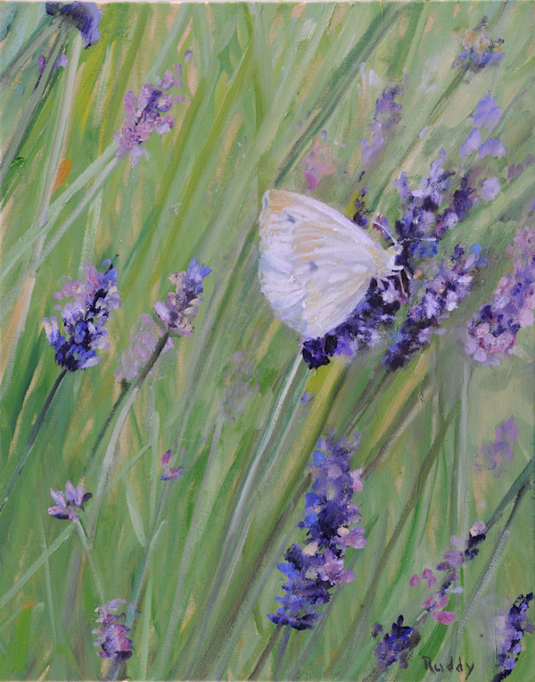 Find Your Peace by Sally Ruddy