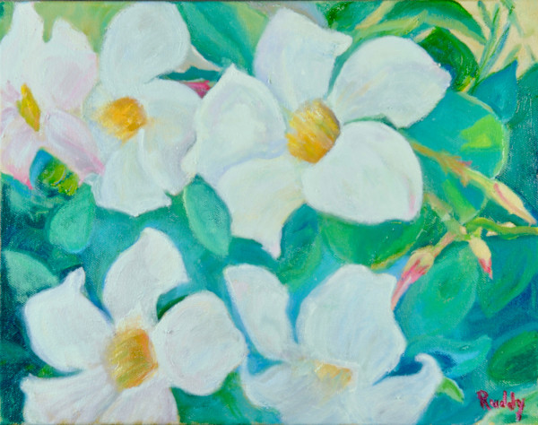 Mandevilla by Sally Ruddy, Image 1.