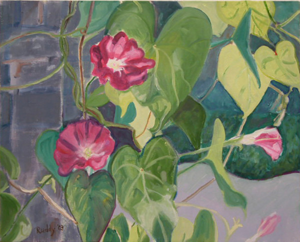 Morning Glories by Sally Ruddy