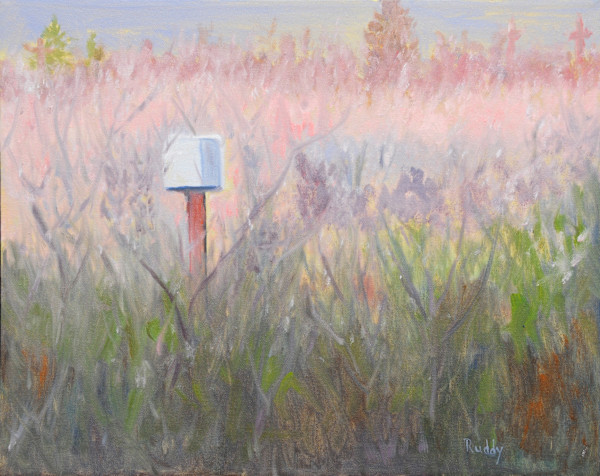 Owl Box No. 2 by Sally Ruddy