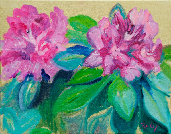 Rhododendron by Sally Ruddy
