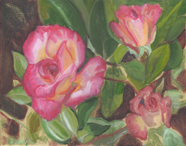 Rose Triad by Sally Ruddy, Image 1.