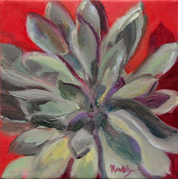 Succulent by Sally Ruddy