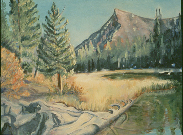 Virginia Lakes by Sally Ruddy