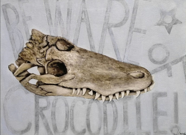 Beware Of Crocodie by Min Thar Gyi
