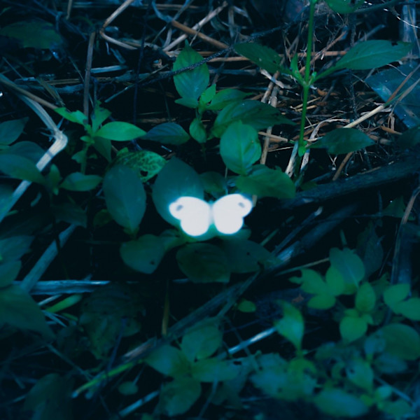 Untitled 2024 From the Series "White Day" by Ashey, Image 6.