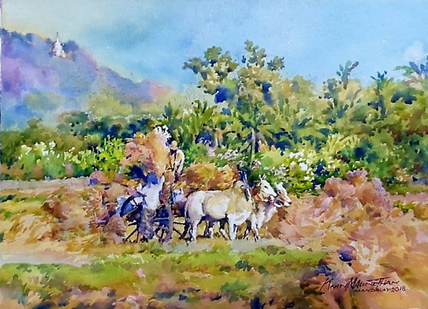 ကောက်လှိုင်းသိမ်းချိန် by Khin Mg Than ,U(Mandalay)